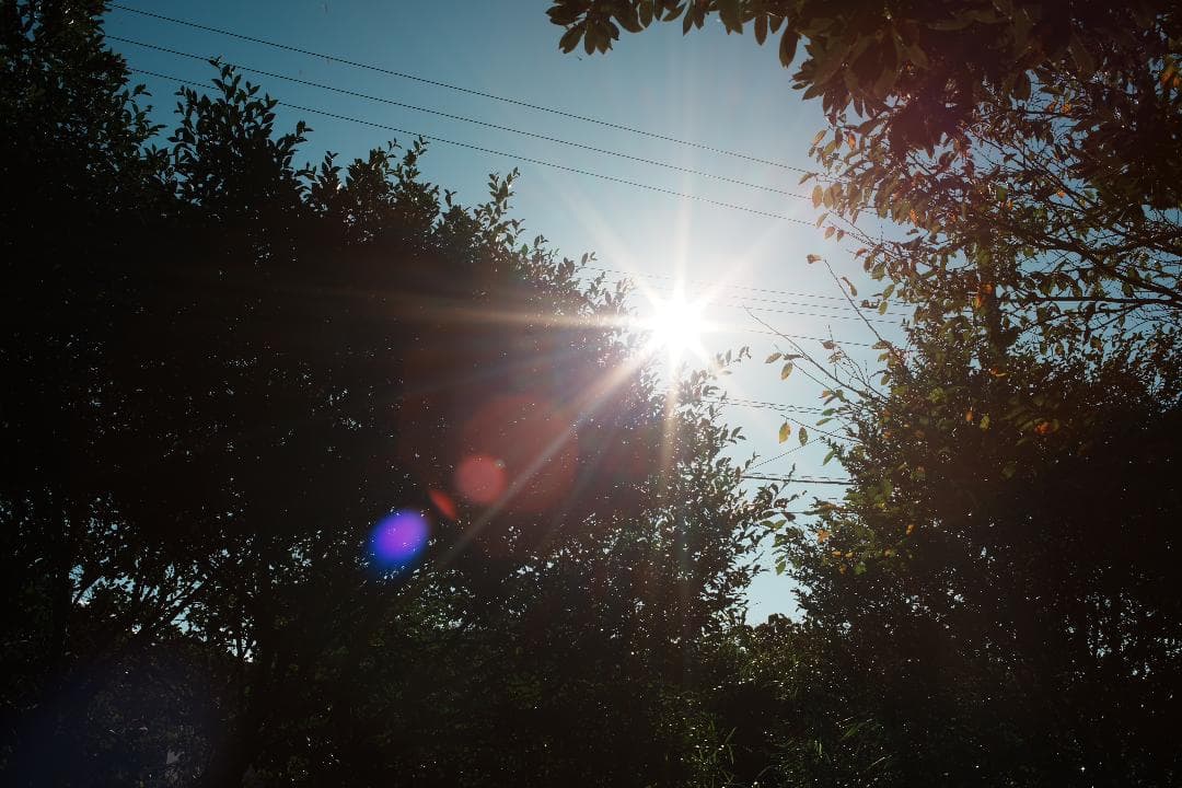 希少 Canon FD 35mm F2 S.S.C concave 864