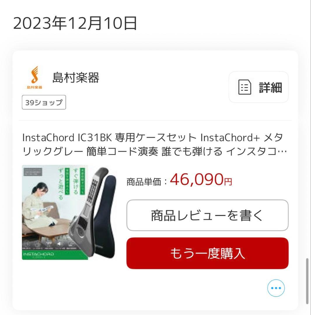 インスタコード Instachord+ IC-31 ソフトケース・スタンド付属