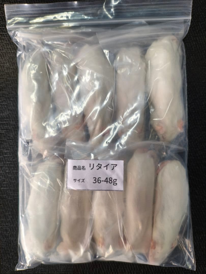 TSK　送料無料　冷凍マウスファジーS20匹リタイア30匹ホッパー20匹