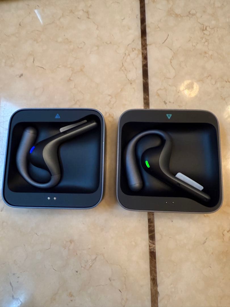 Timekettle W4 Pro イヤホン翻訳機 AI通訳 通話翻訳 動画翻訳