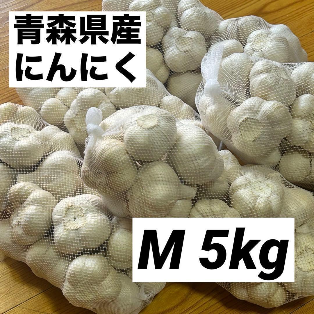 【大特価】青森県産 にんにく M 5kg 福地ホワイト 免疫力アップ 激安