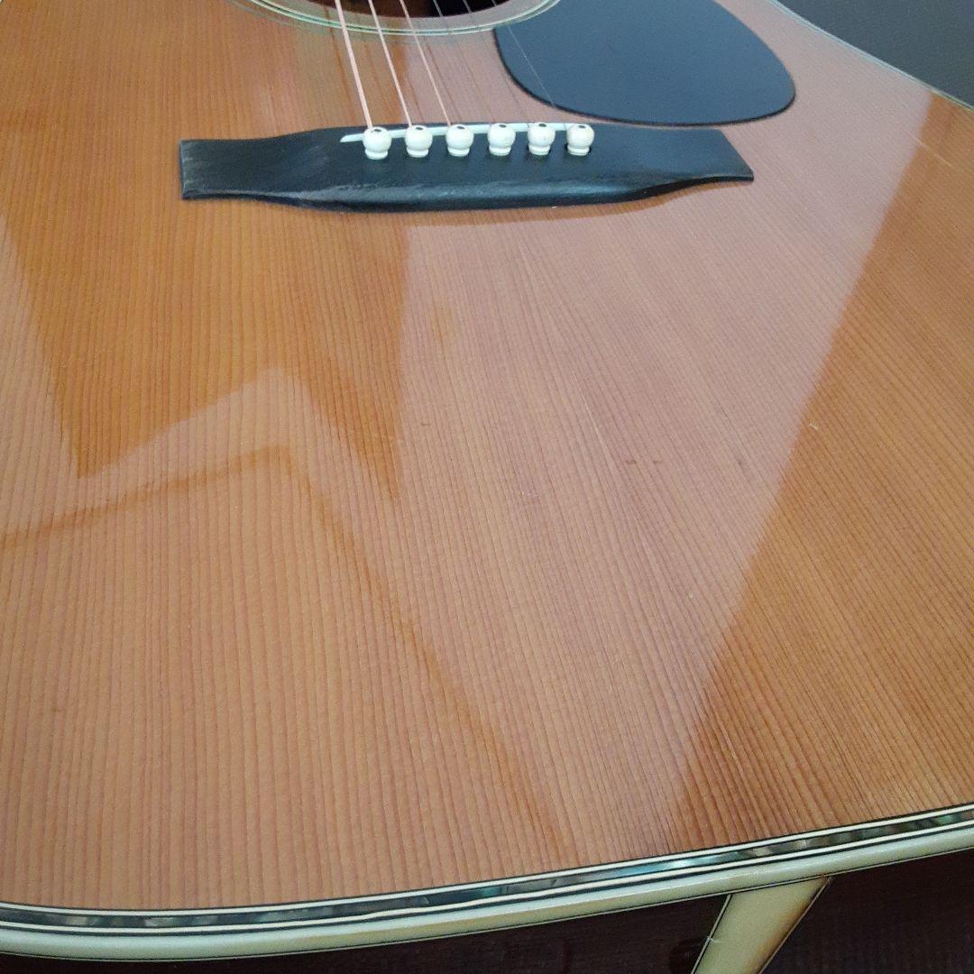 Morris日本製 w30 アコースティックギター ドレッドノート