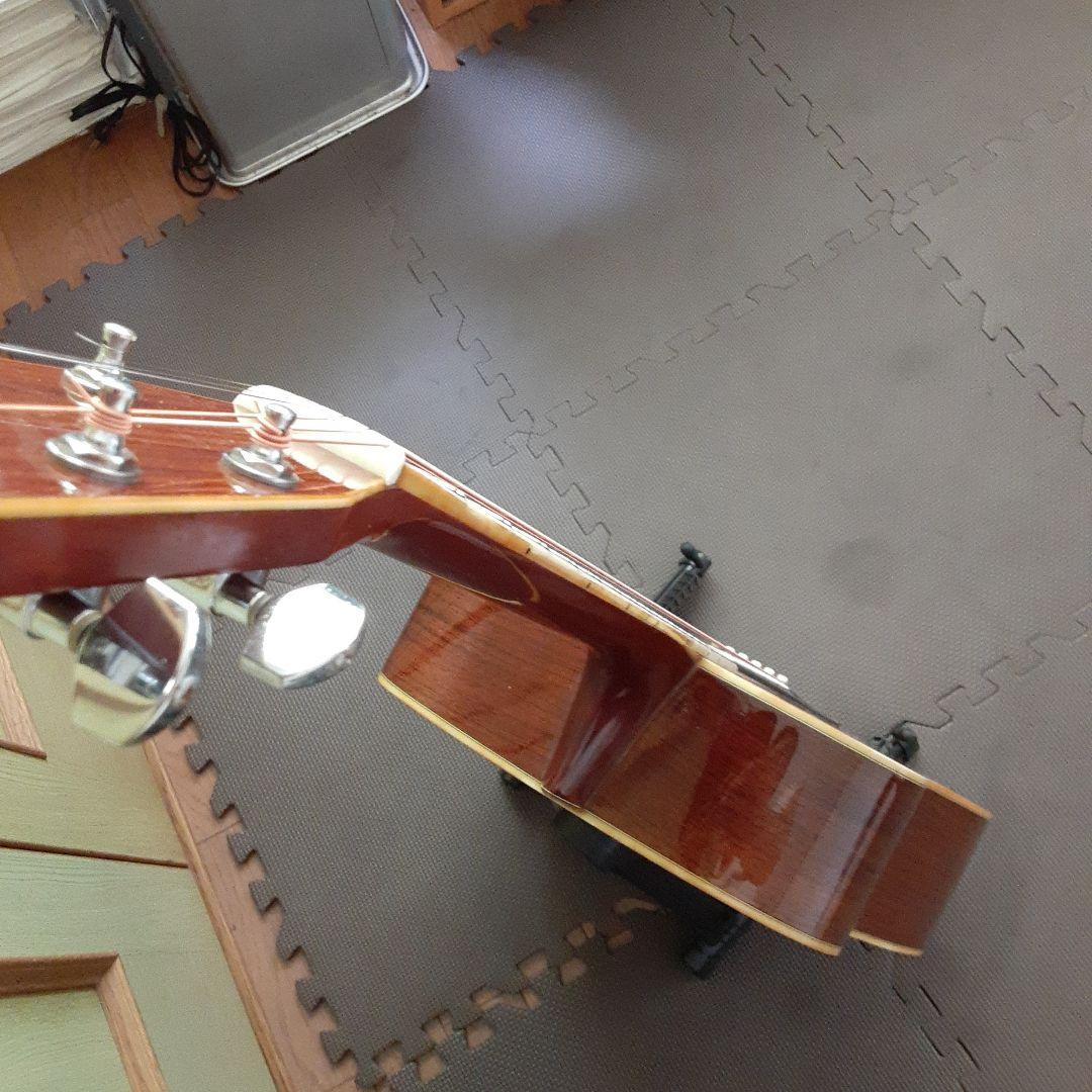 Morris日本製 w30 アコースティックギター ドレッドノート