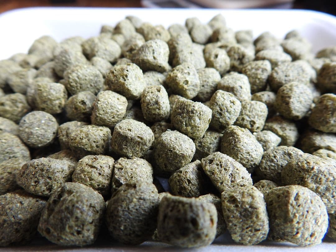 送料無料【アヒル、コールダック用飼料】　10kg