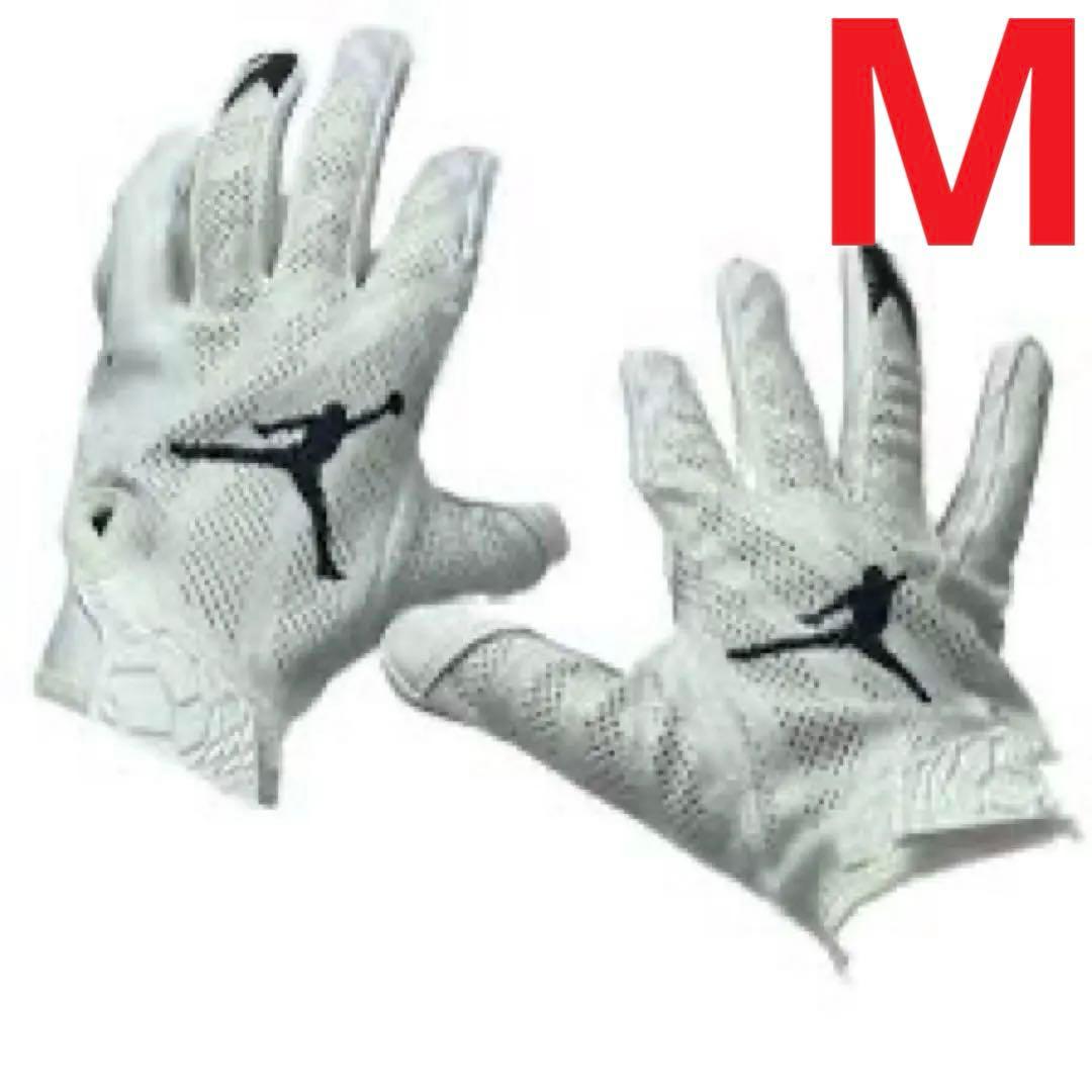 セール‼️NIKE JORDAN VAPOR KNIT 3.0 GLOVE M