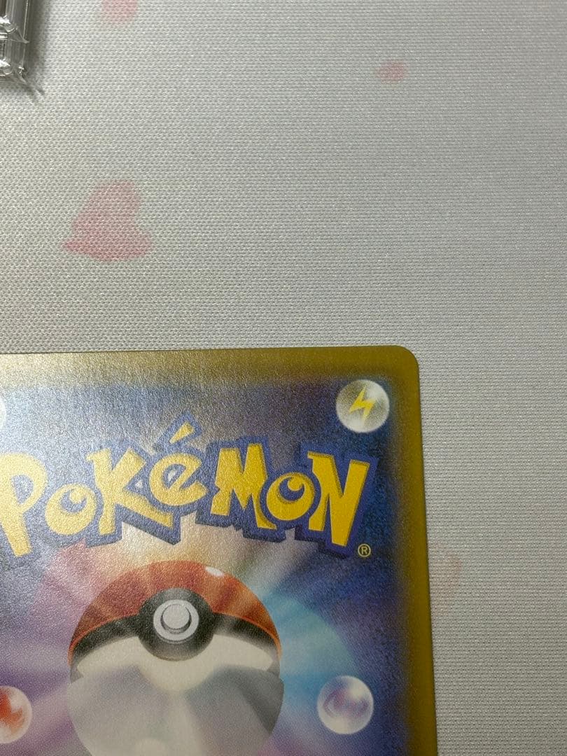 【週末限定価格】エリカのおもてなし　sm9 sr