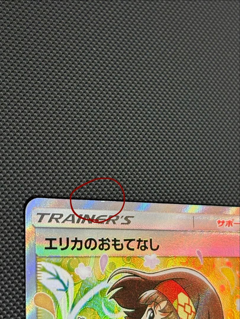 【週末限定価格】エリカのおもてなし　sm9 sr