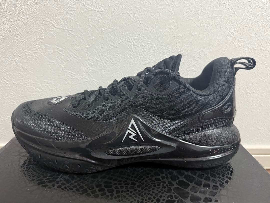 シューズ(男性用) rigorer AR2 US10.5