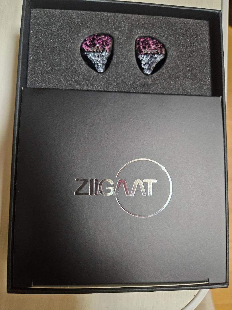 最終値下げ Ziigaat Odyssey イヤホン おまけ 未開封イヤーピース
