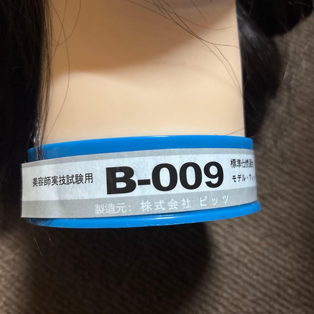 美容師実技試験用　カットマネキン　モデルウィッグ　5体セット