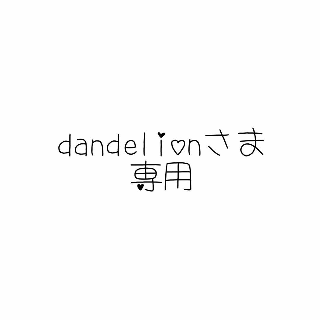 ❤︎dandelionさま専用❤︎