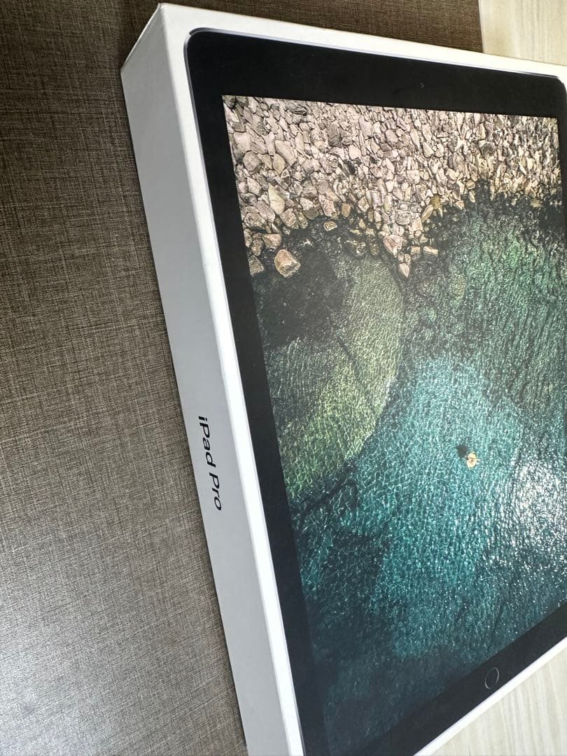 初代iPad Pro12.9インチ イヤホン　カバー　充電器付き