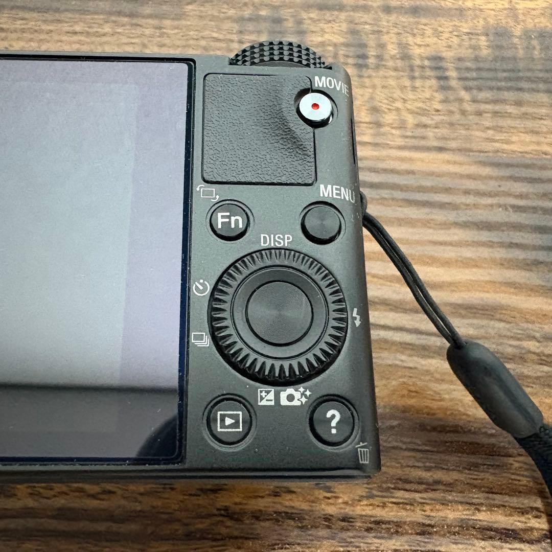 【美品✨】SONY Cyber-shot DSC-RX100 コンデジ 作例あり