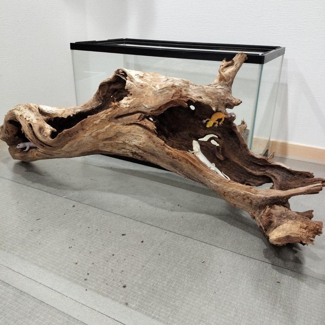 【No.901】超大型シェルター流木　爬虫類レイアウト✫
