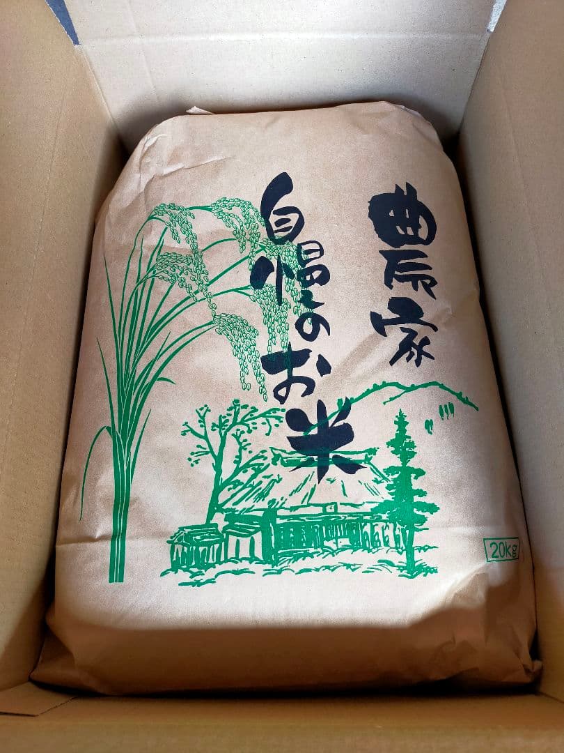 農家直送　20キロ　玄米　令和7年産コシヒカリ