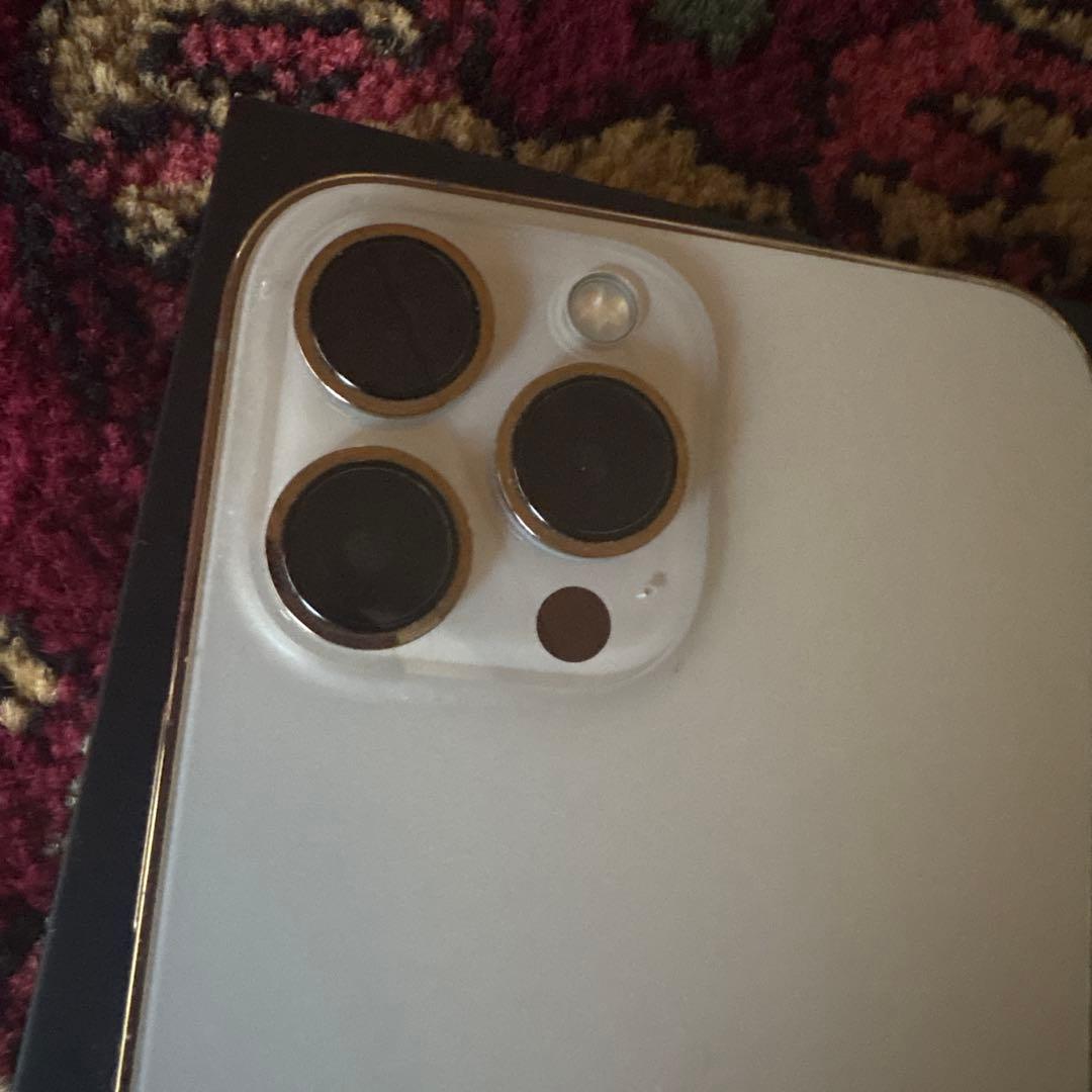 【美品】SIMフリー iPhone 13 Pro Max 128GB 海外版