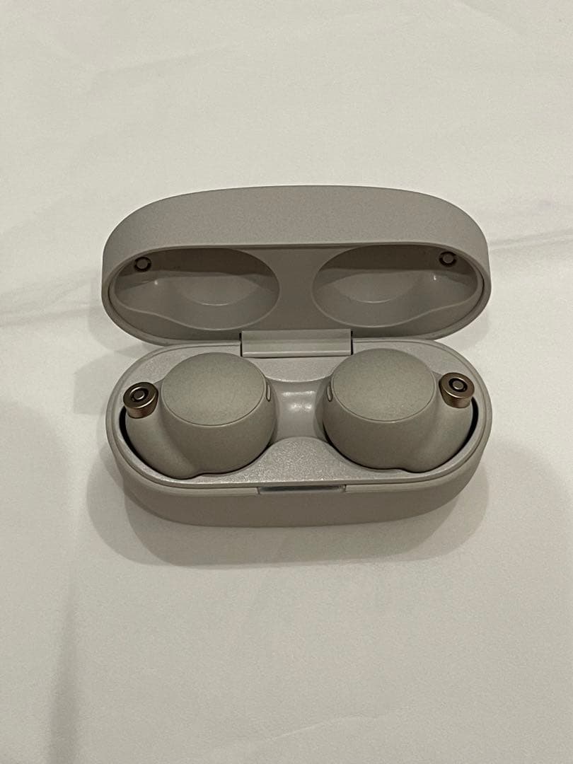 Sony WF-1000XM4 (イヤホンバッテリー劣化品)