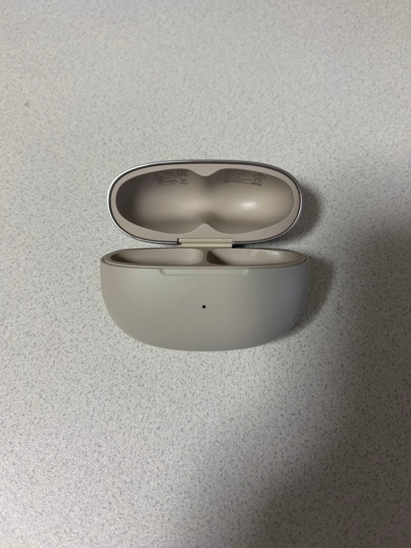 opendots one Shokz ケースのみ