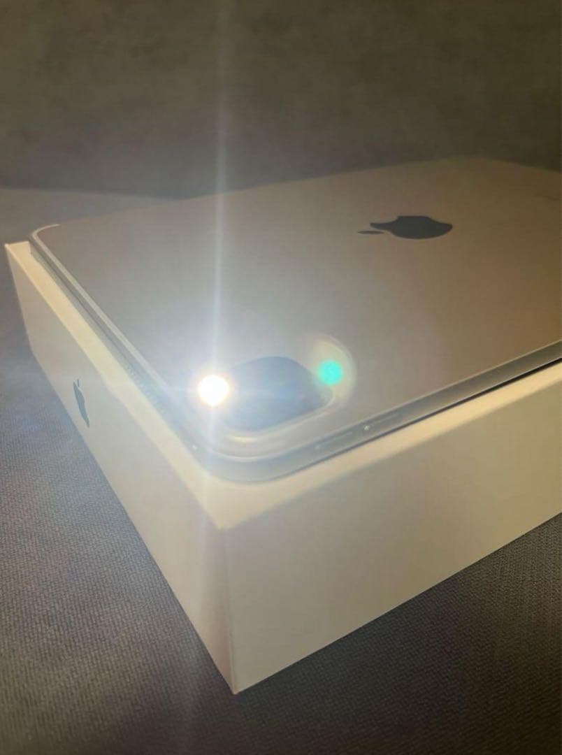 iPad Pro 11インチ(第2世代) Wi-Fi 256GB