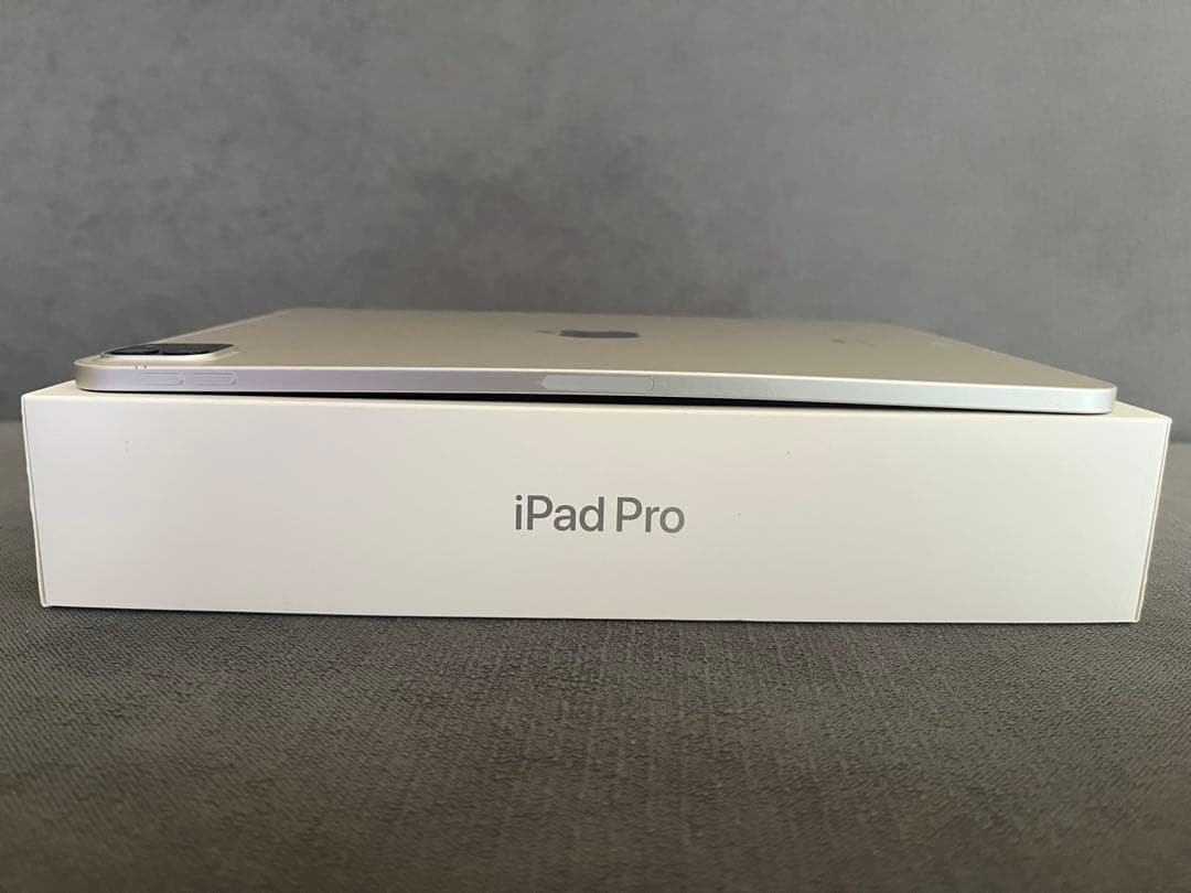 iPad Pro 11インチ(第2世代) Wi-Fi 256GB