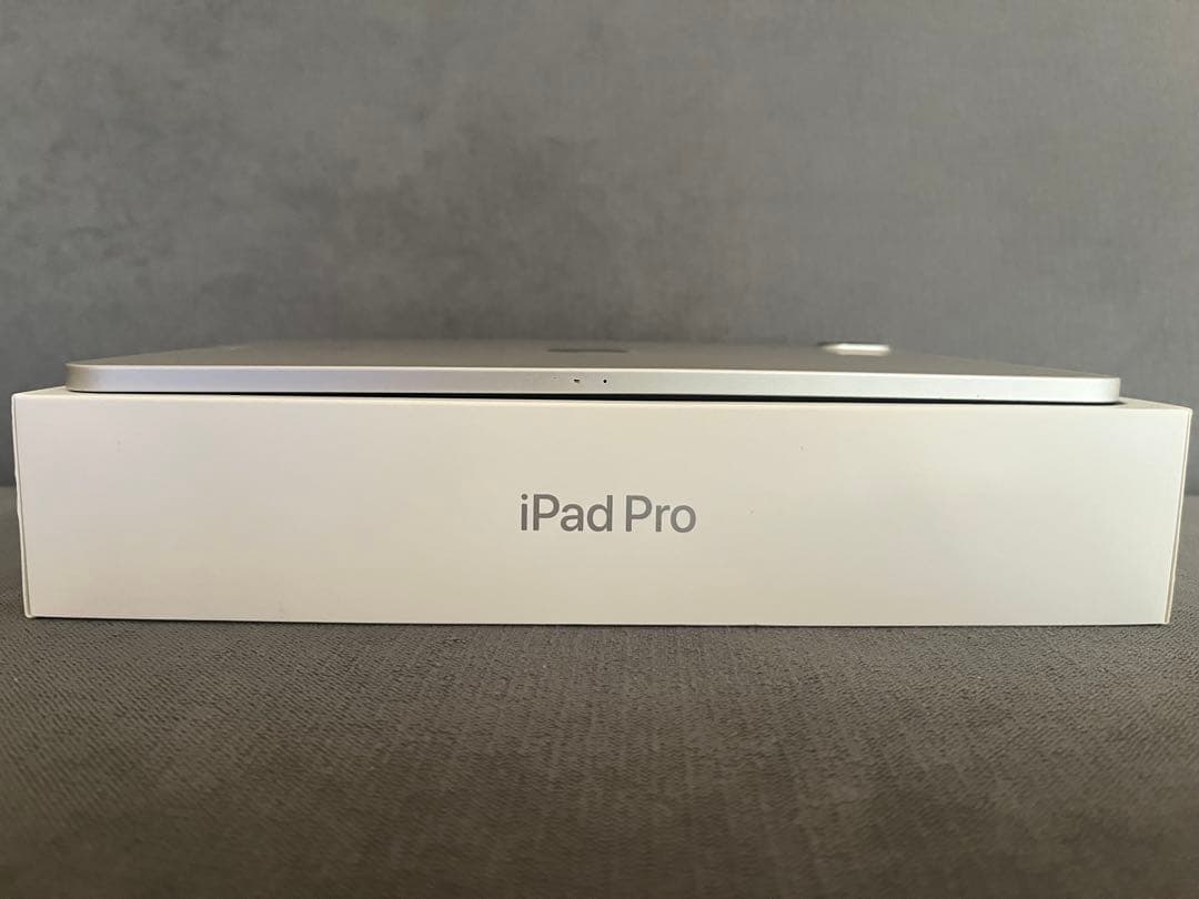 iPad Pro 11インチ(第2世代) Wi-Fi 256GB