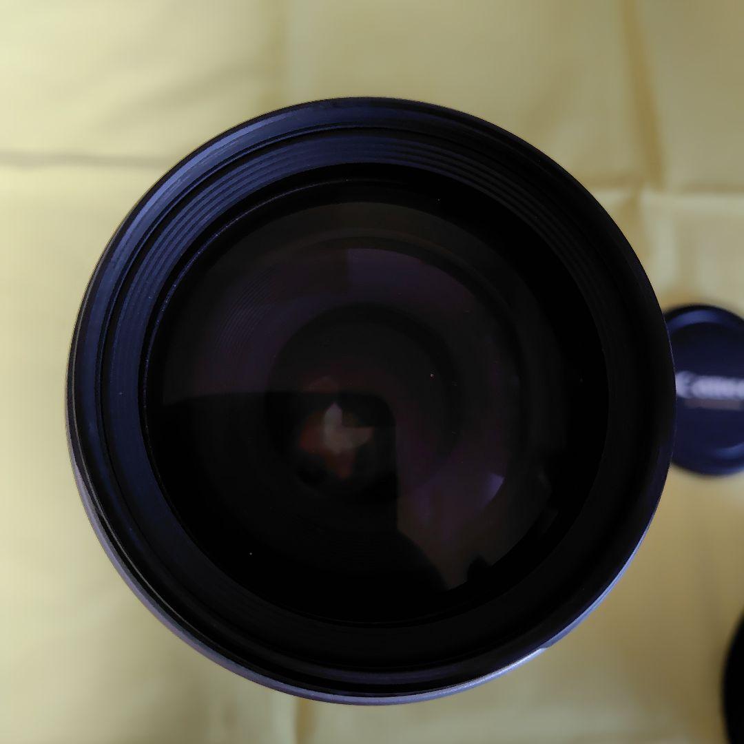 レンズ(ズーム) Canon EF 100-400mm f/4.5-5.6L IS USM