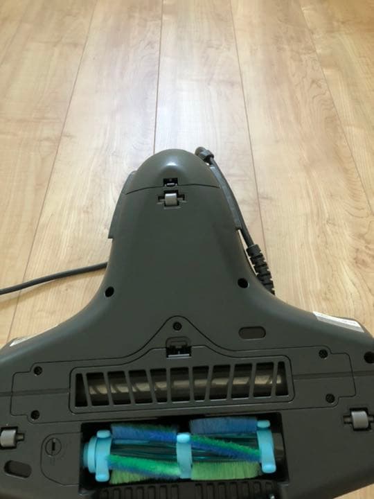 掃除機・クリーナー RAYCOP RS-300JWH