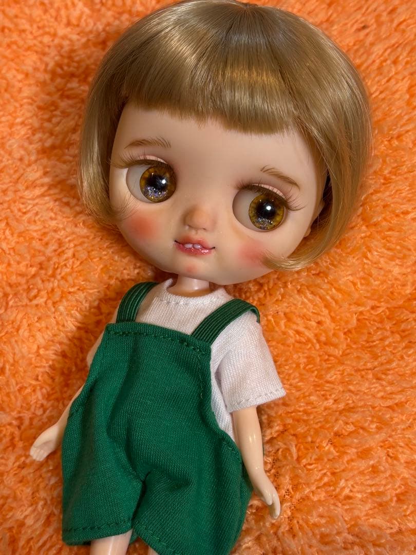 ミディブライス　カスタム　【ジャンク】