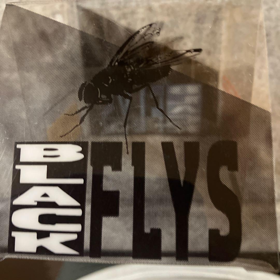 CASIO G-SHOCK Black Flys 腕時計