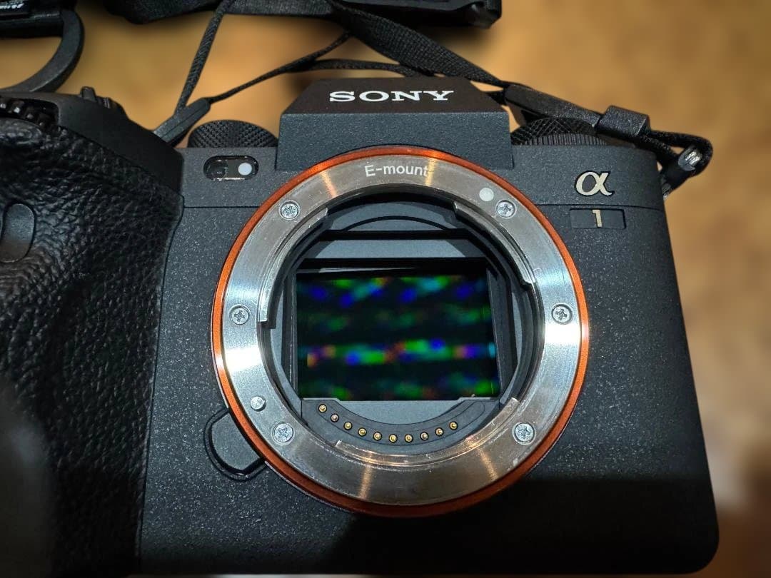 SONY α1 (ILCE-1) ボディ ミラーレス 一眼レフ カメラ