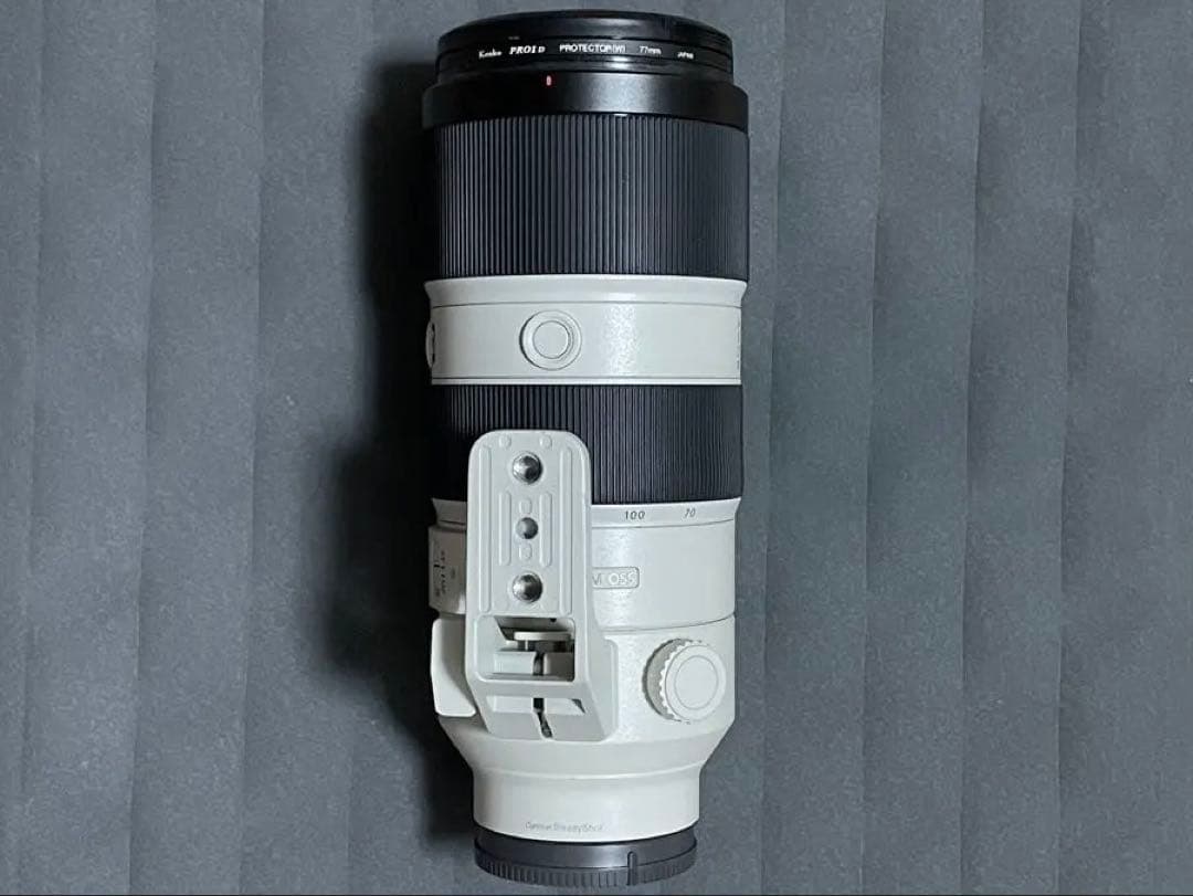 【ボボ】SONY FE70-200mm F2.8GM OSS