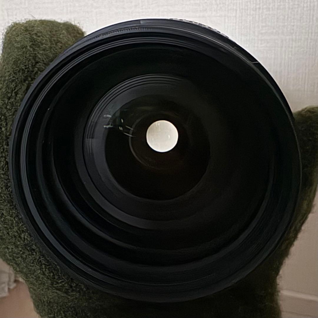 TAMRON 28-75mm Canon用　レンズプロテクト付き