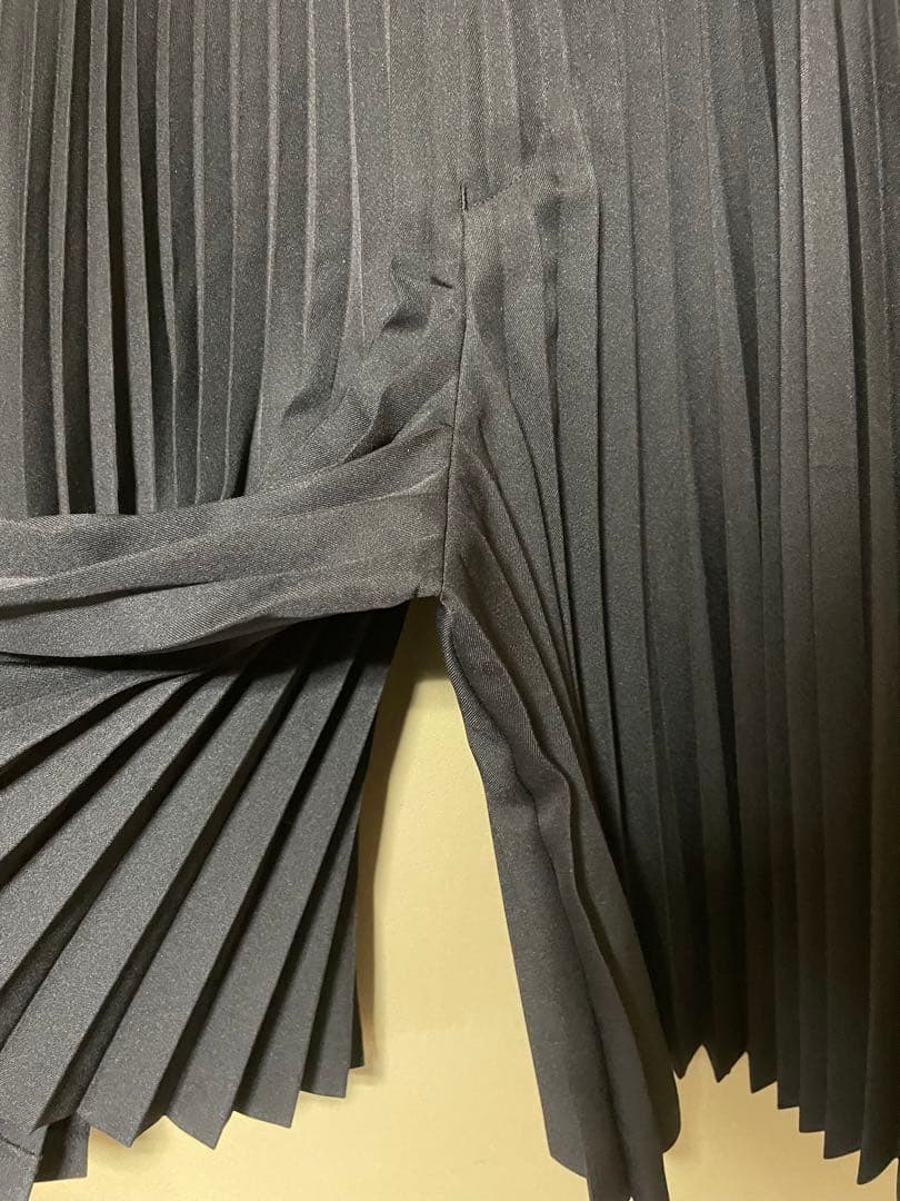 COMME des GARCONS HOMME PLUS　24AW パンツ