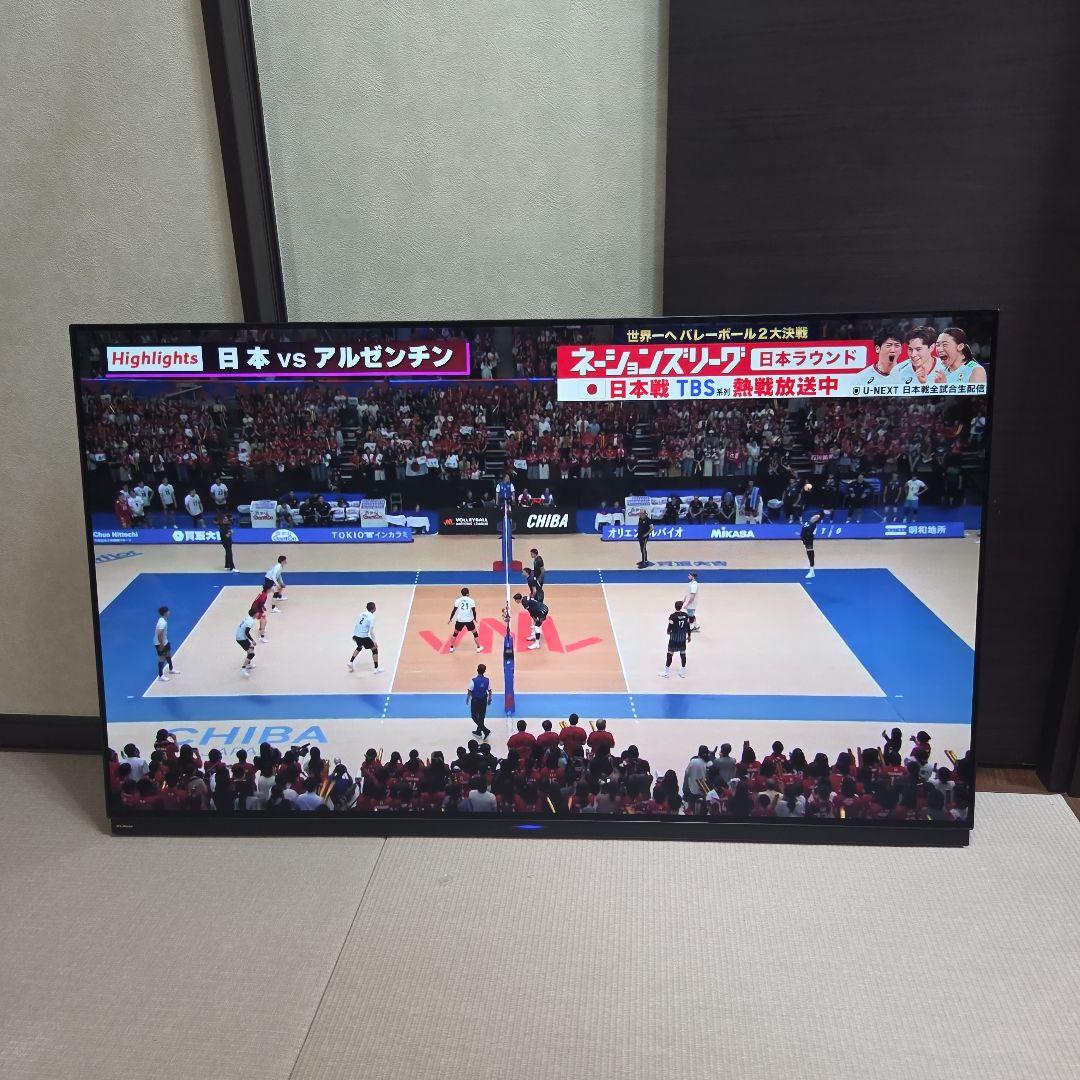 55インチ 有機ELテレビ HDD内臓2TB 保証付き