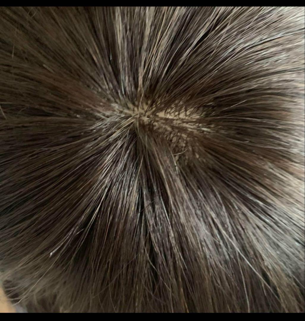 ☆気品人毛100% ショートwig ウィッグBZ20