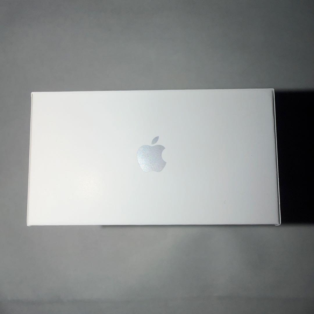 Apple AirPods Pro ３本体　Appleストアーで購入11月25日