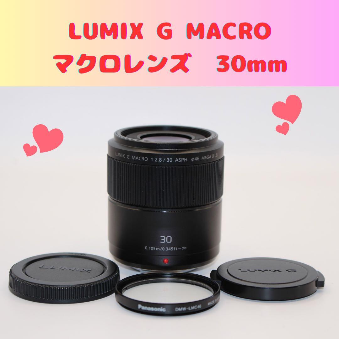 ★純正プロテクター付★ LUMIX マクロレンズ　30mm H-HS030