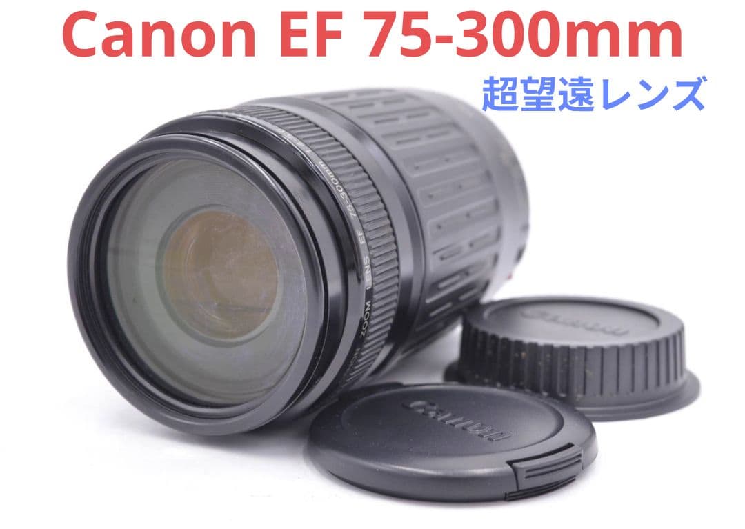 10月28日限定特価♪【超望遠レンズ】Canon EF 75-300mm