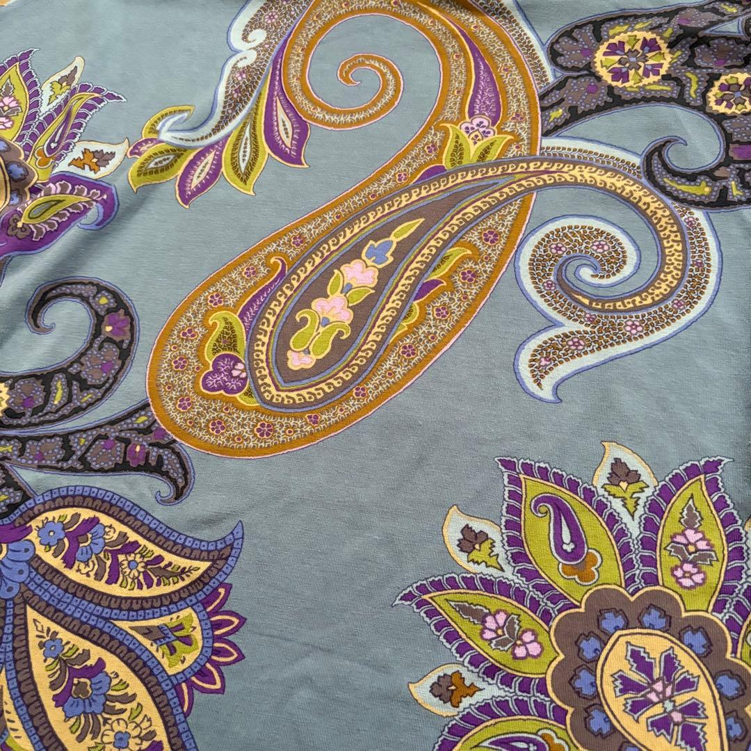 ETRO エトロ ペイズリー柄 タートルネック トップス 42