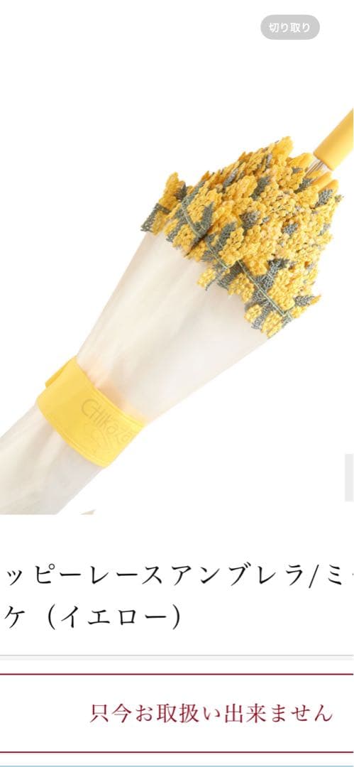 近沢レース　傘　ミモザ