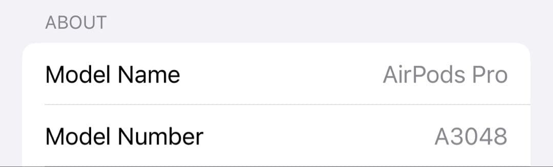 AirPods Pro 第2世代　type-c