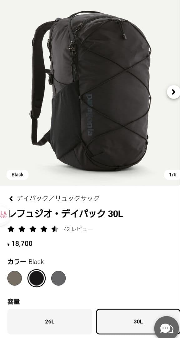 Patagonia　パタゴニア レフュジオ・デイパック 30L 新品