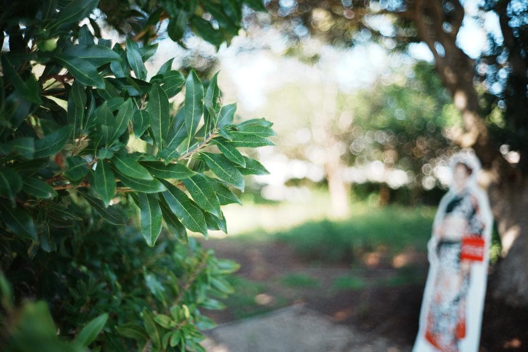 ライカ M-ROKKOR 40mm F2｜街と家族をやわらかく描く一本 015