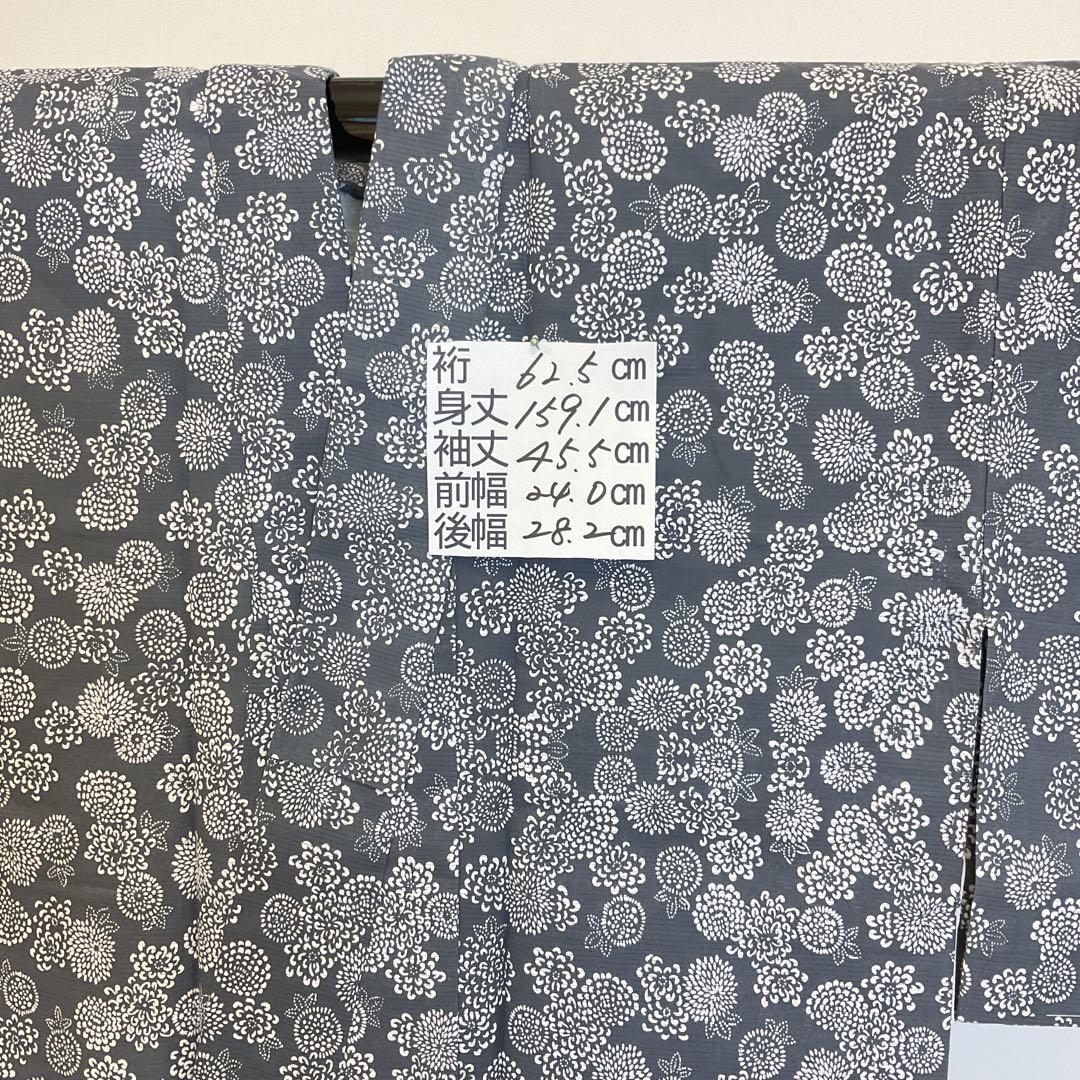 新品　綿絽　小粋な菊の小紋　Sサイズ細身の方にお勧め