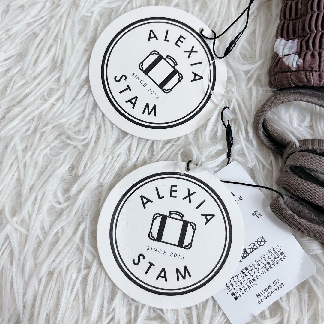 タグ付ALEXIA STAM バタフライ ビキニ セットアップ