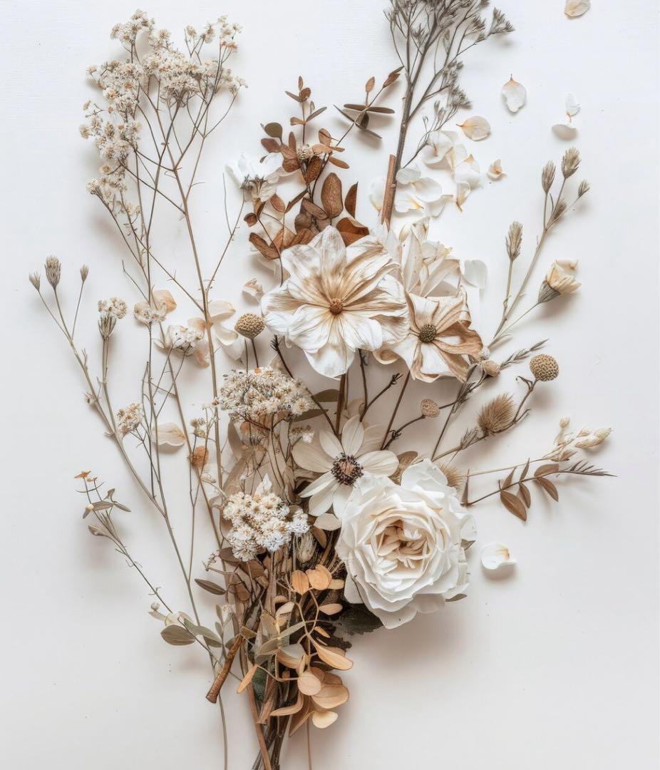 ワンピース Leah