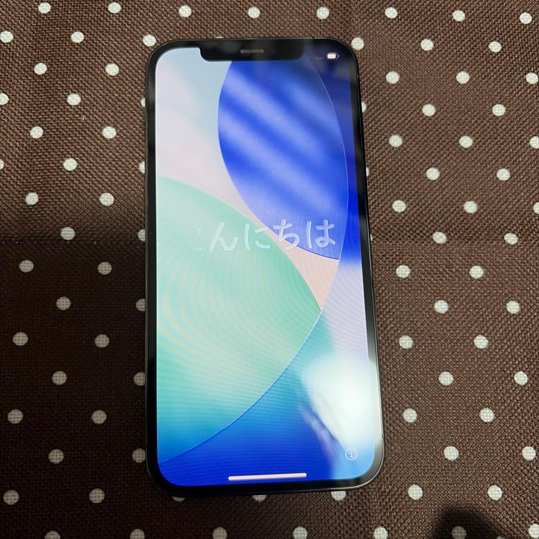 Apple iPhone12Pro グラファイト 256GB