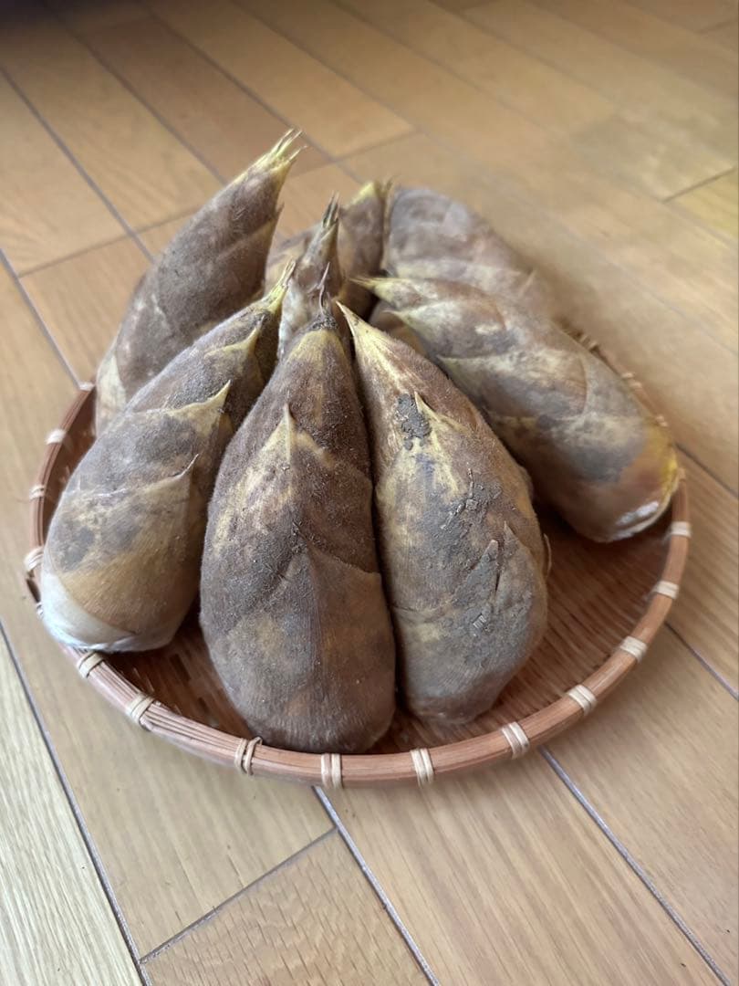 徳島県産 たけのこ 約2kg タケノコ 筍