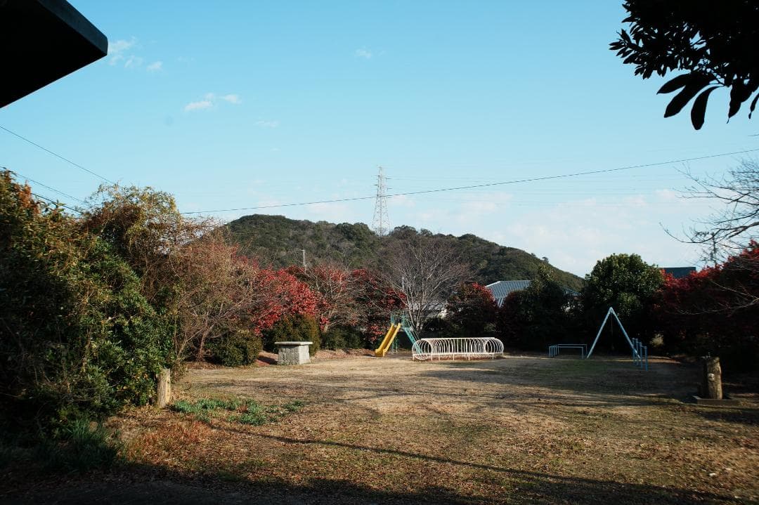 【幻のレンズ】Carl Zeiss Distagon 28mm F2 AEG 4