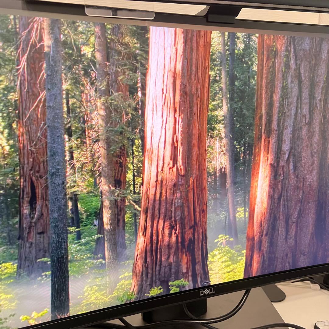 dell 4919dw 2023年製 49インチモニター